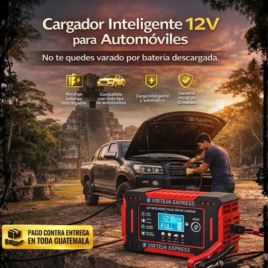 VOLTEXA™ – Cargador de Batería Automóvil 12V
